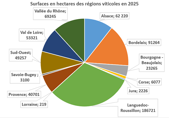 surfaces viticoles 2025.png